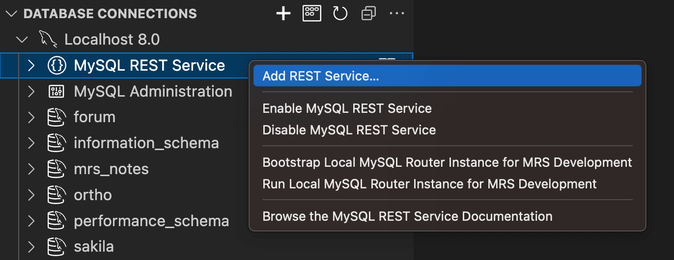 The REST service dialog of MariaDB Shell for VS Code
